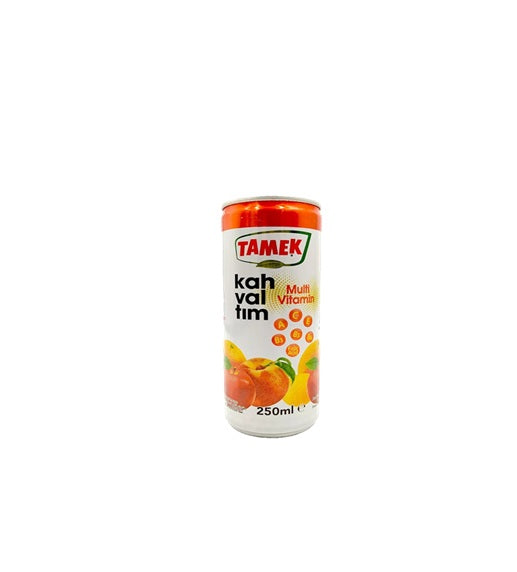 Tamek Multivitamin 250ml x24